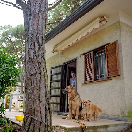 Arco Bungalow 伊拉克里亚马勒 外观 照片