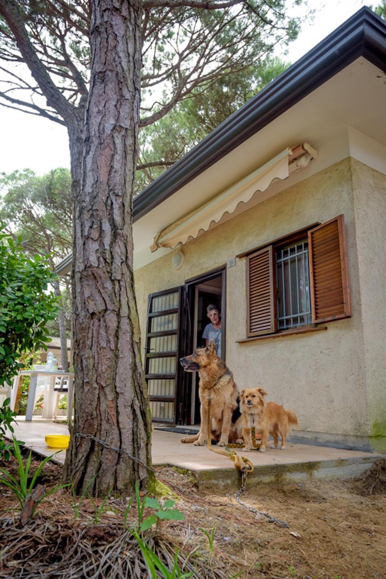 Arco Bungalow 伊拉克里亚马勒 外观 照片